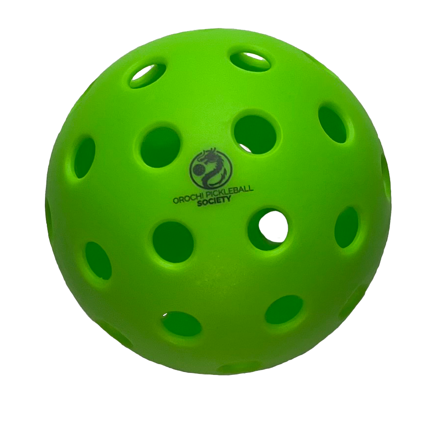 Practice Pickleball Set - 2 Practice Paddles, 4 Balls, 1 Bag
